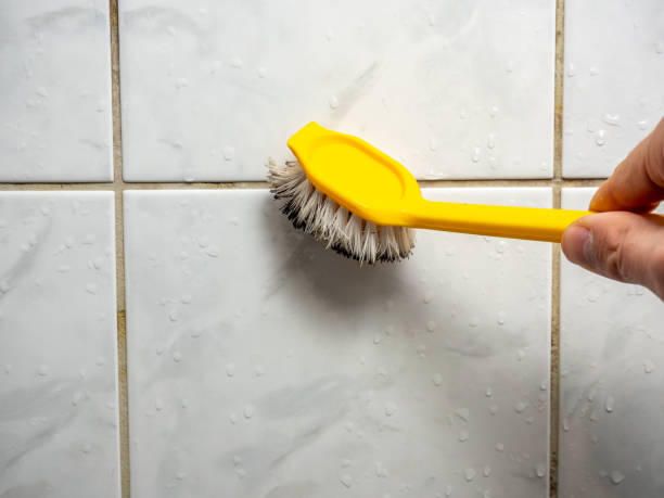 Best Mold Removal Specialists  in Carlisle, PA