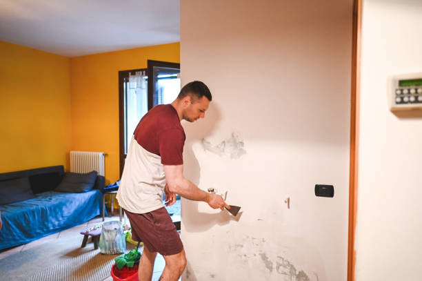 Best Black Mold Removal  in Carlisle, PA