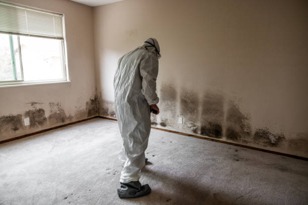 Best Residential Mold Removal  in Carlisle, PA